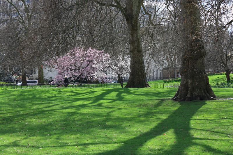 46-St.James Park,4 aprile 2010.JPG